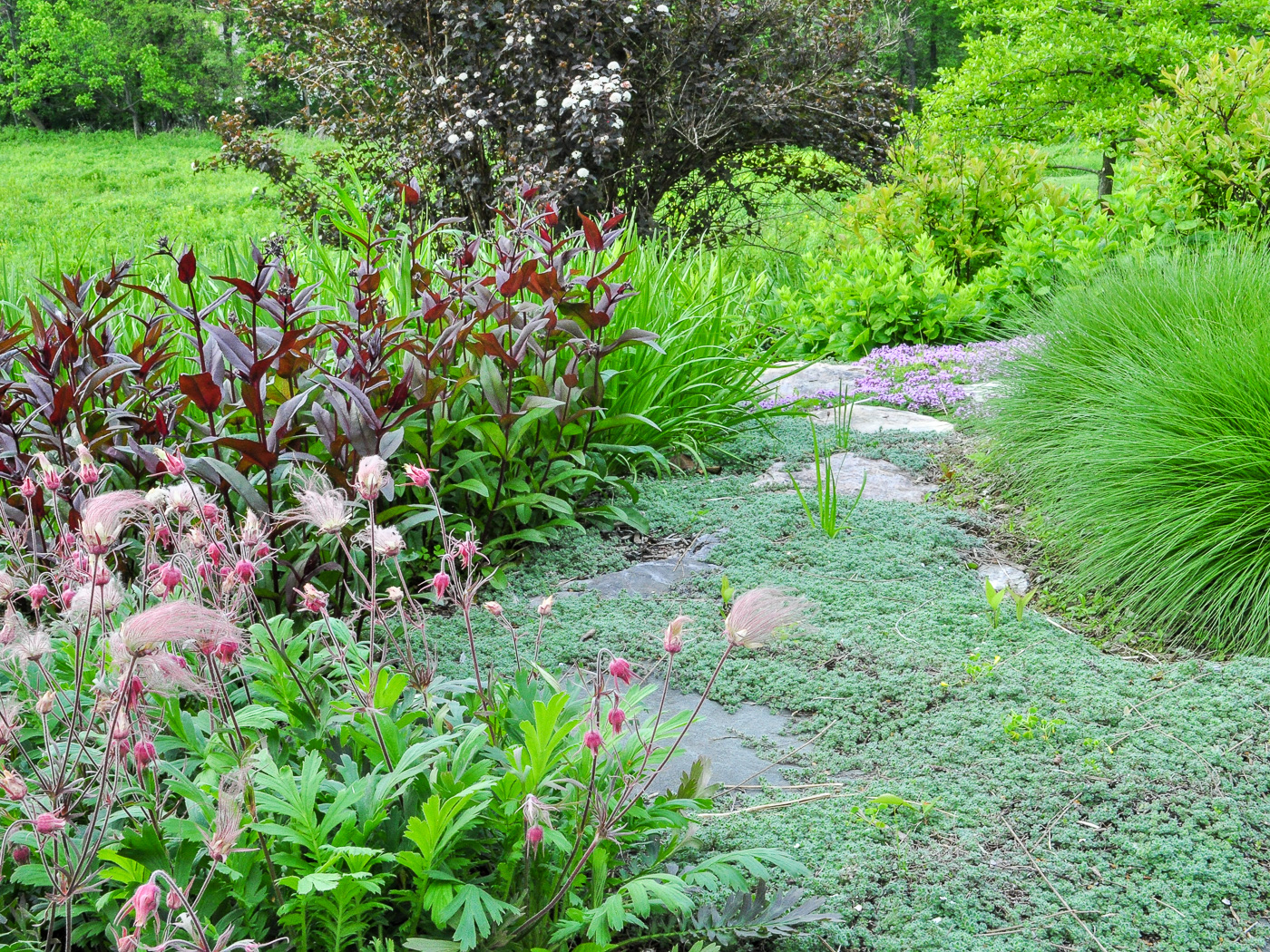 Fieldstone stepping garden path leading through mixed plantings groundcover
