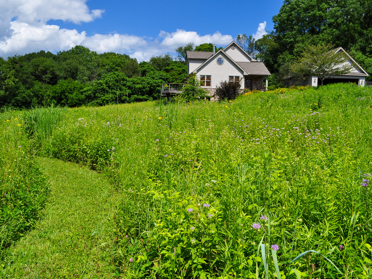 House situated behind a deep swath of meadow and a path through the meadow