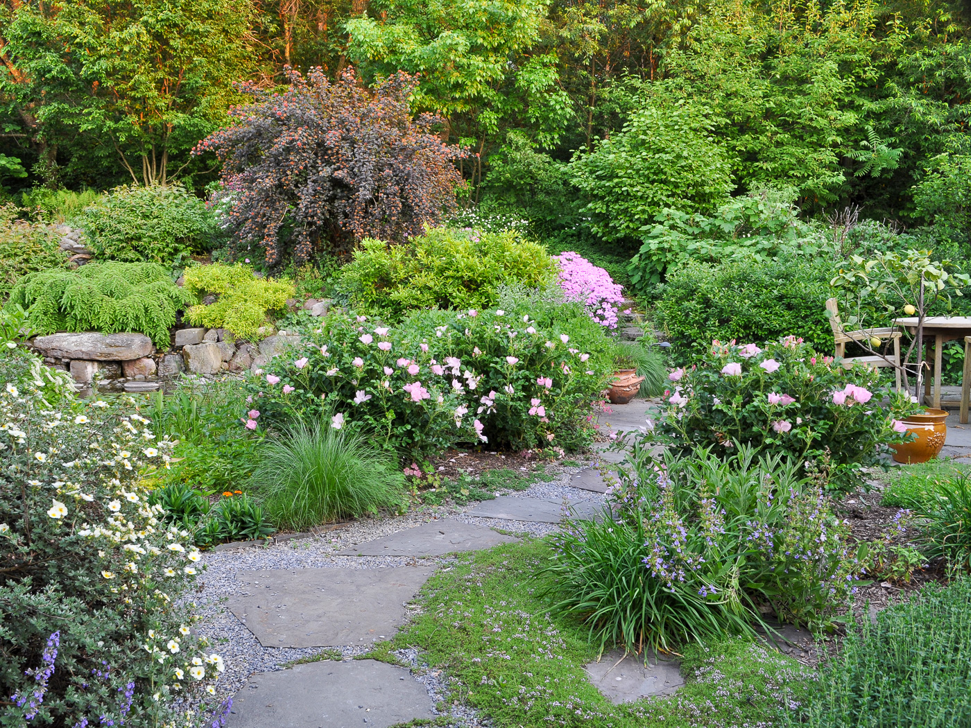 Naturalistic patio living space nestled into woodland edge with path leading to steps and pond