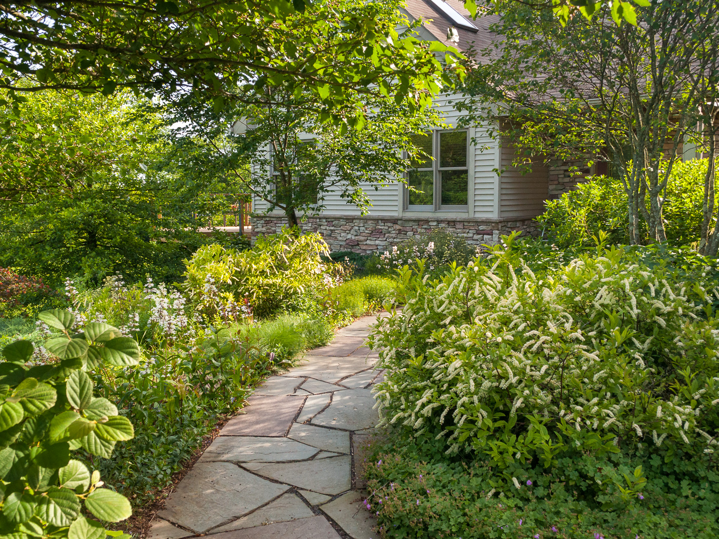 Flagstone walk to front porch leads the eye through dense native layered plantings