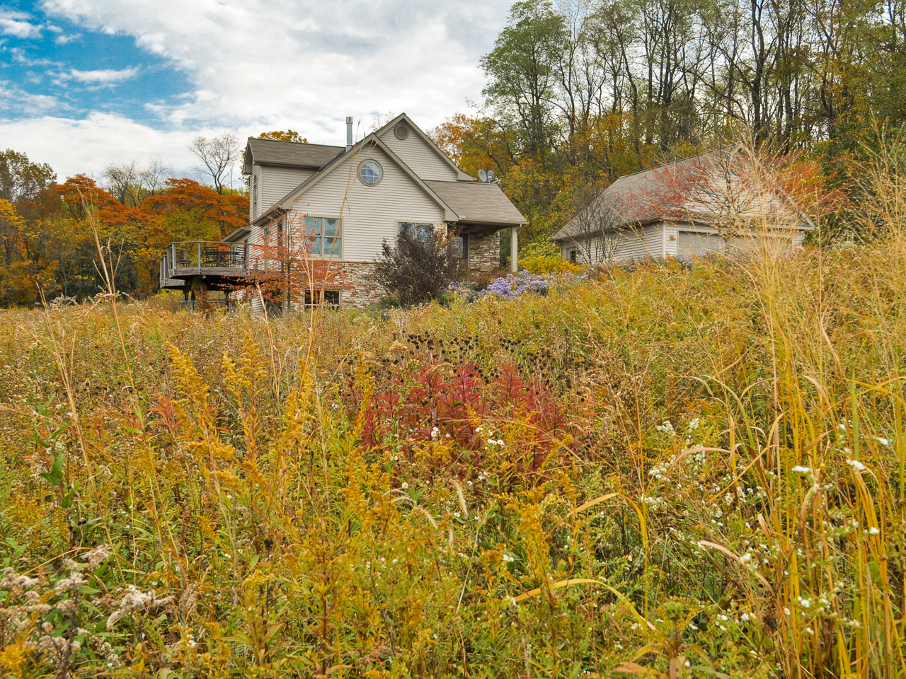 House situated behind a deep swath of meadow showing great fall colors