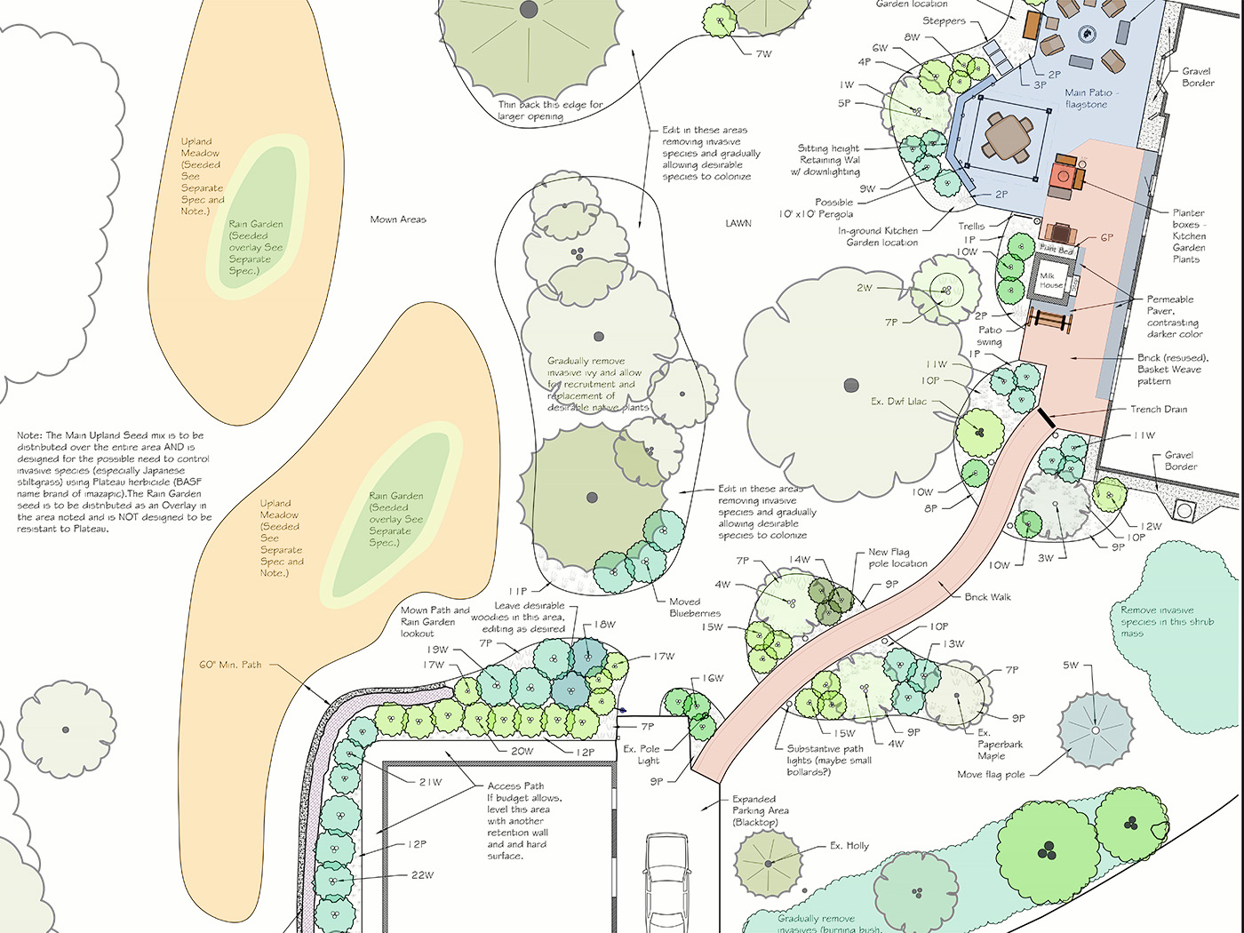 Design Plan for backyard with meadows, rain garden, patio and walkway