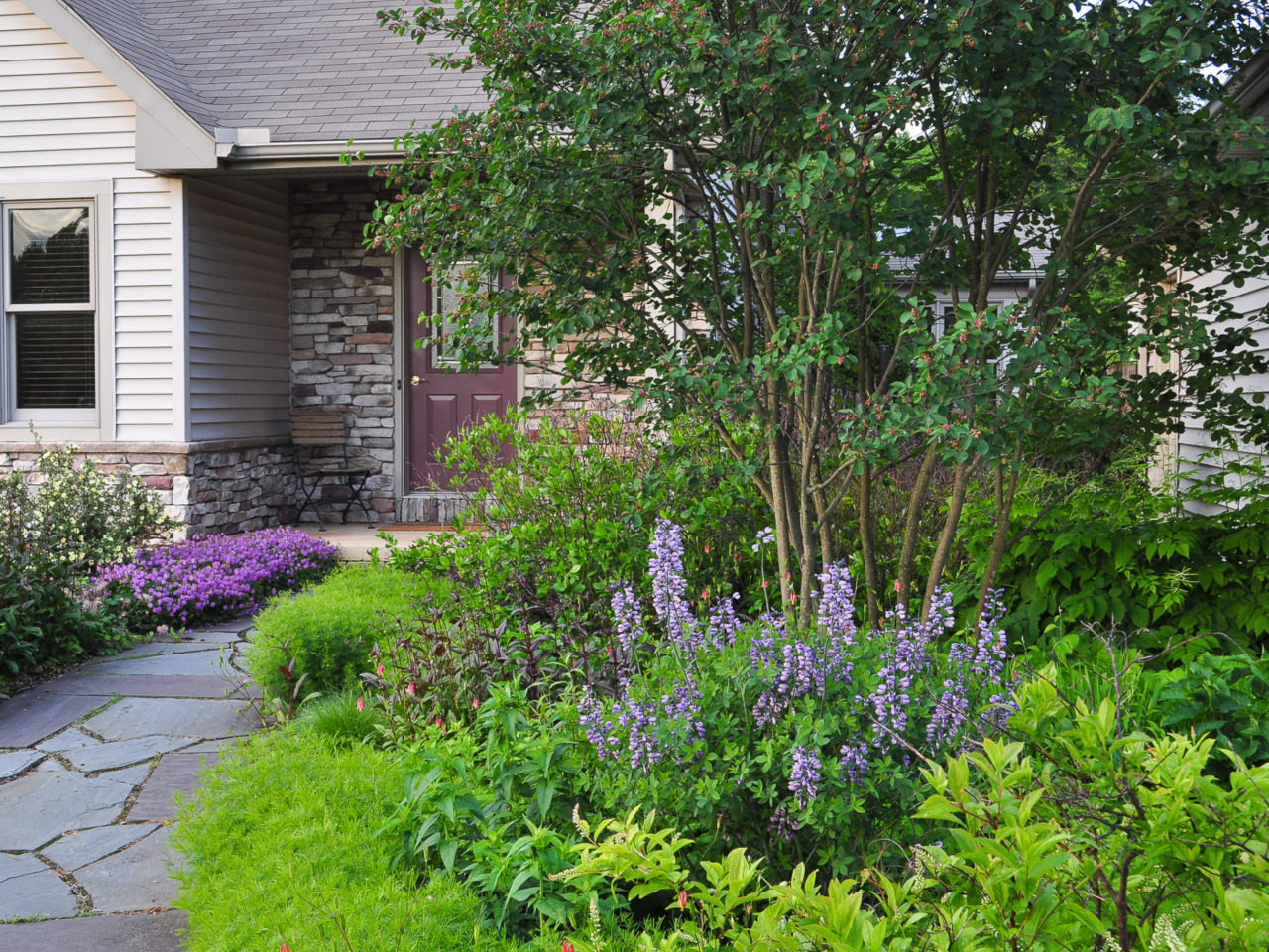 Wide structured and diverse native planting bed flanking front entrance walkway